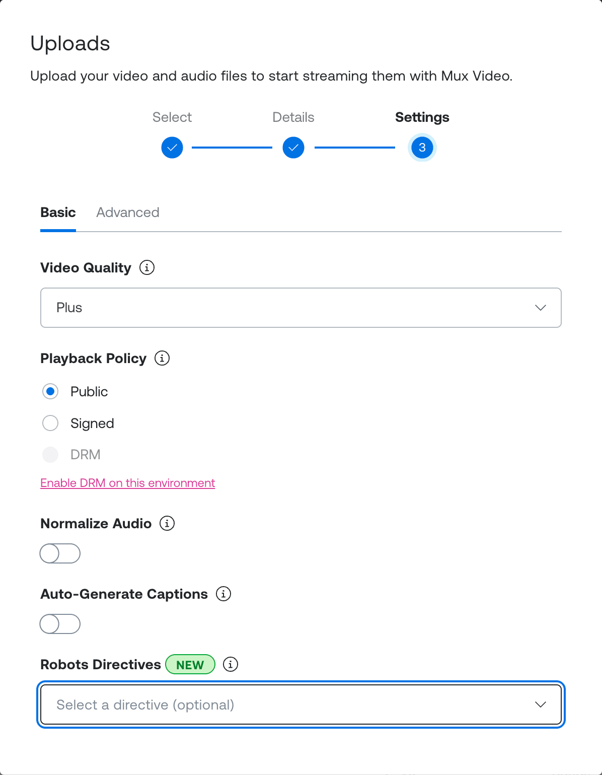 The Settings step of the asset creation dialog with the Directives field set.